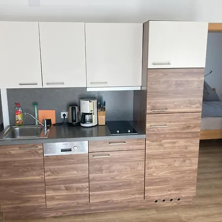 Apartment Brandtner Leogang