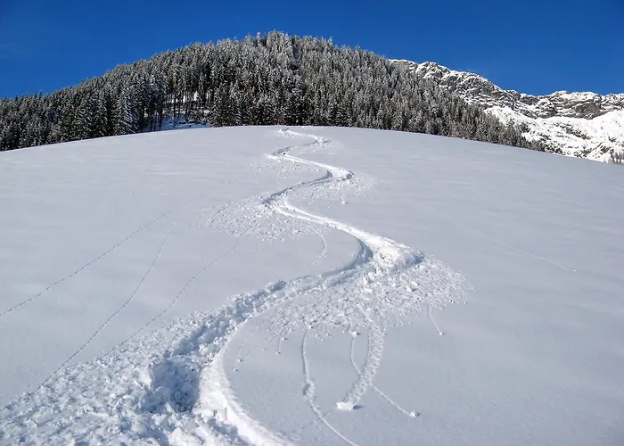 Appartement Brandtner Leogang